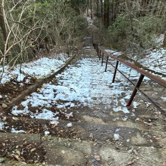 なんともなさそうな石段も
下りてみると段数が半端ない
雪の部分は凍結💦