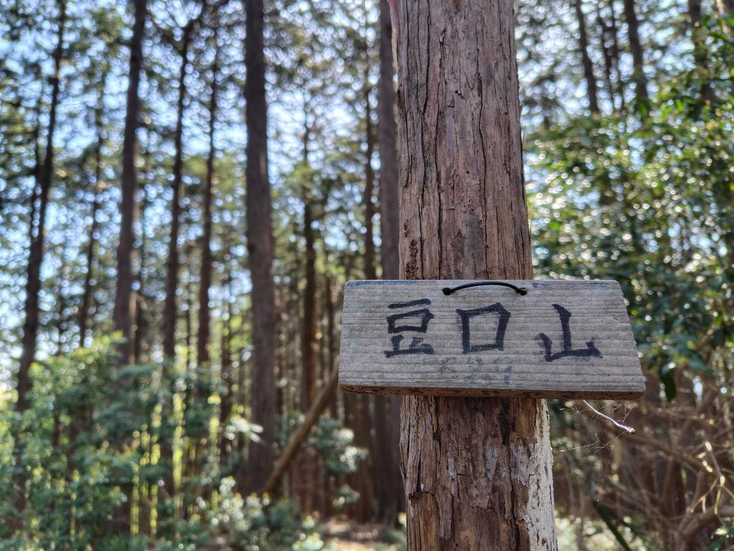 ここへ登る時は急登もありました。