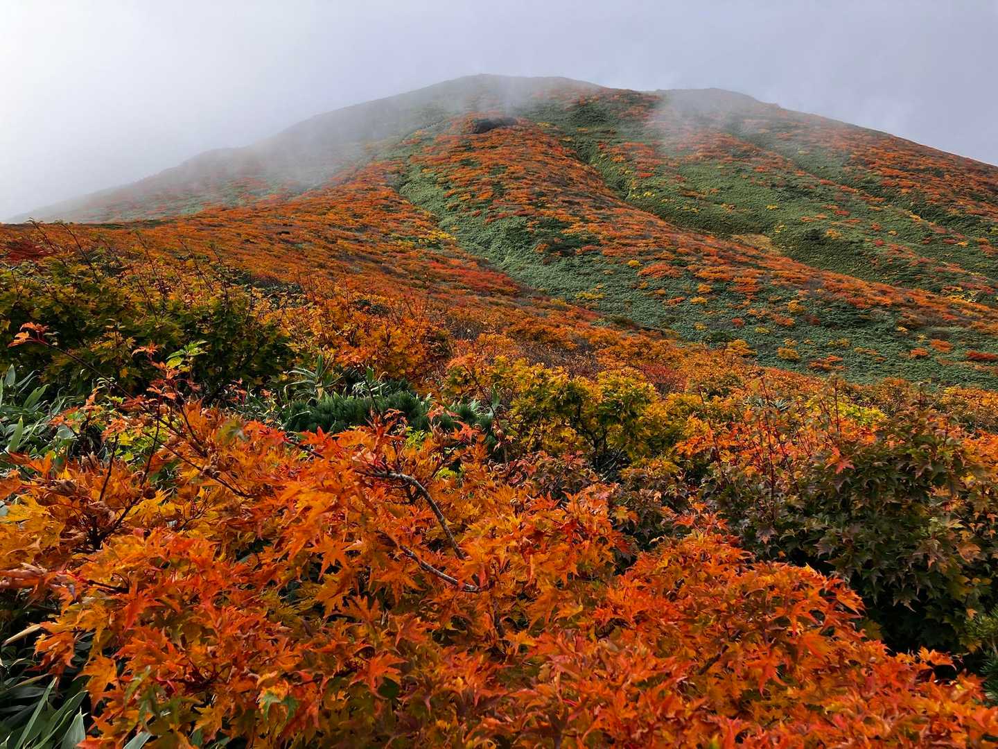 山頂も見えて来ました。
北斜面の紅葉も　宮城側に劣らぬ素晴らしさ