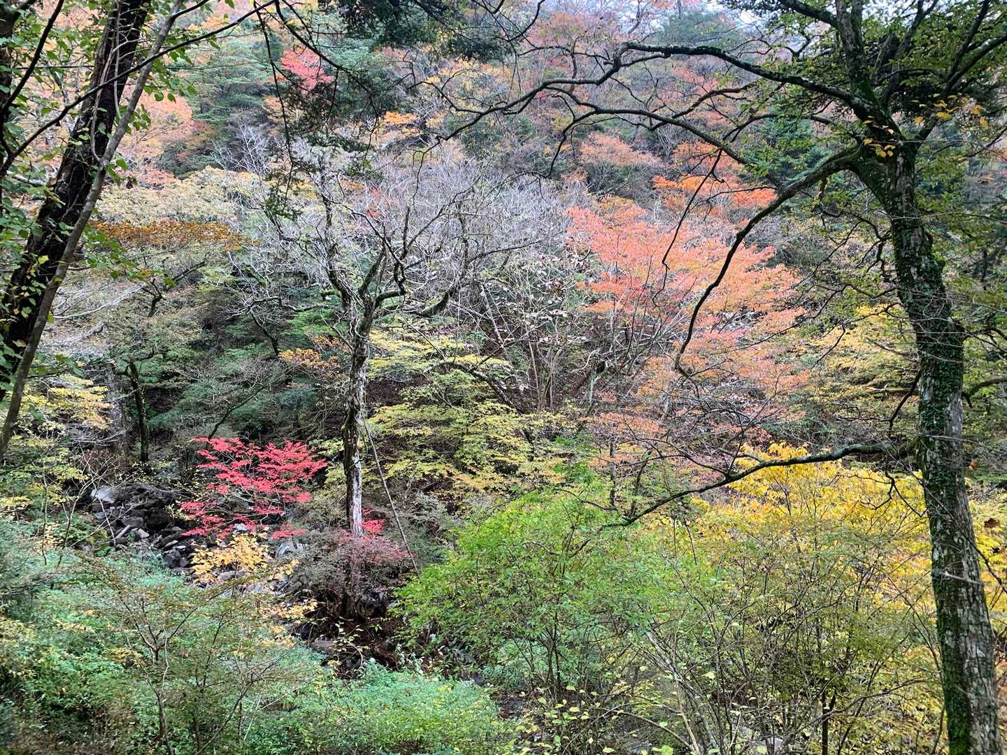癒される✨