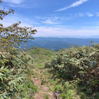 北アルプスを眺めながら下山