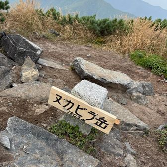 ヌカビラ岳に戻って来ると、違う看板標識も🪧
2個あります。