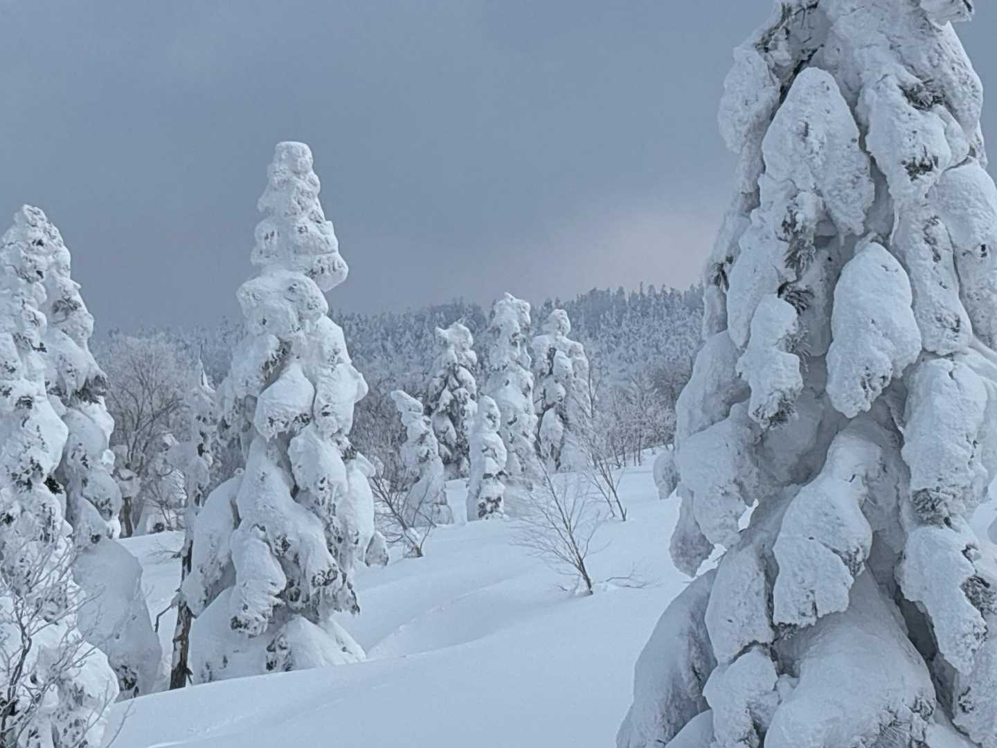 大深温泉バス停-八幡平 往復コースの写真