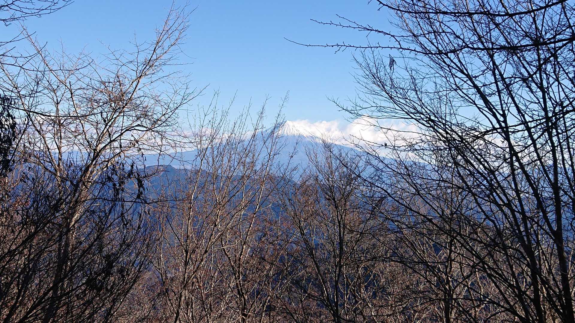 冬は富士山がよく見える💡