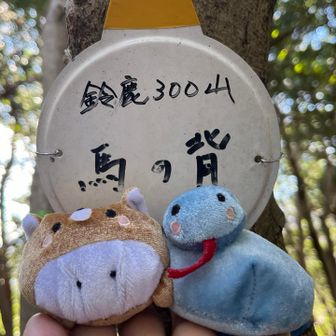 馬の背　登頂🙌

では、引継ぎを
🐍2026年をにょろしくね〜
🐴は〜い！うまくいくよう頑張りま〜す