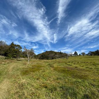 空模様が
ステキ。