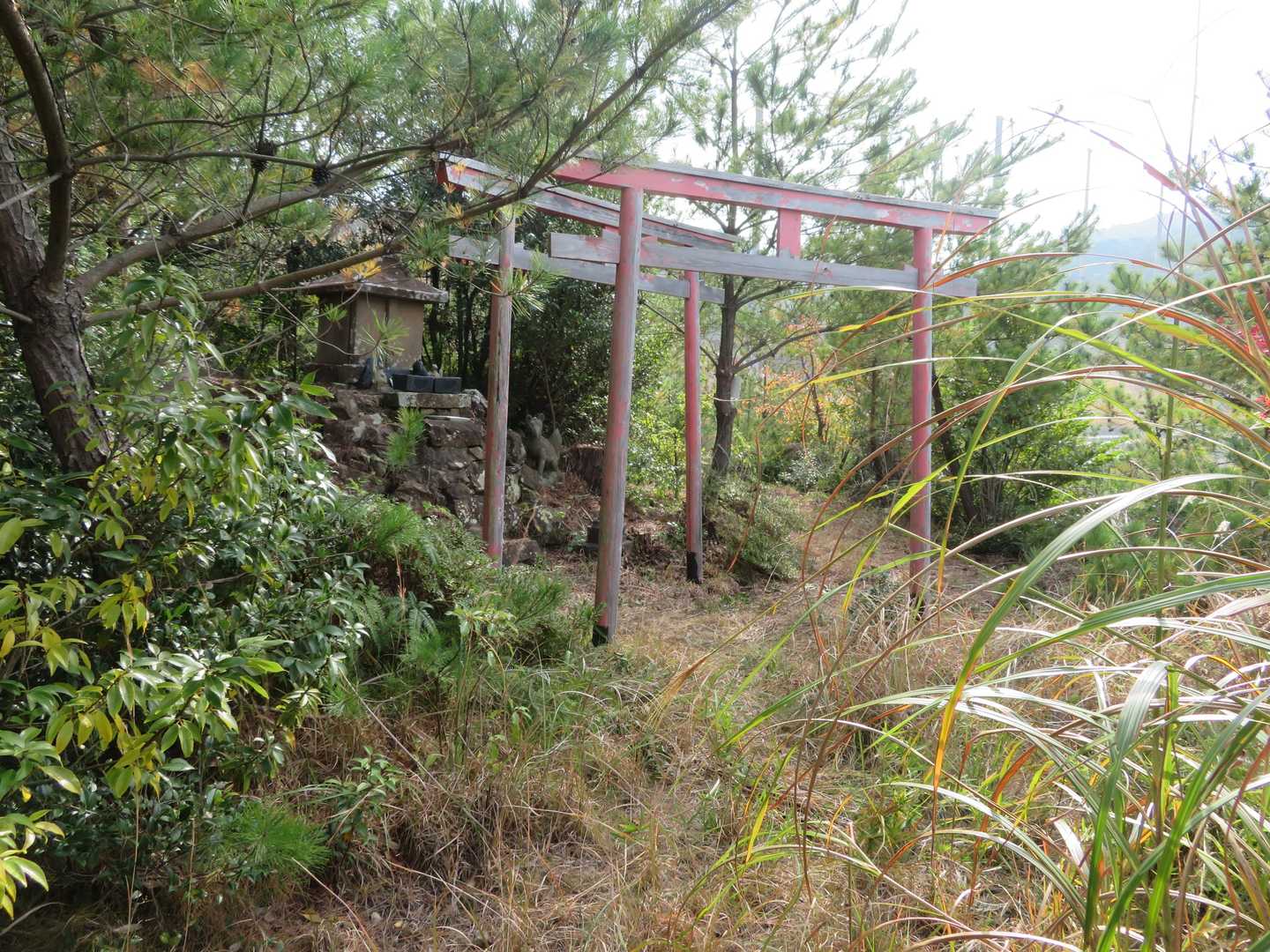 神社ですね。