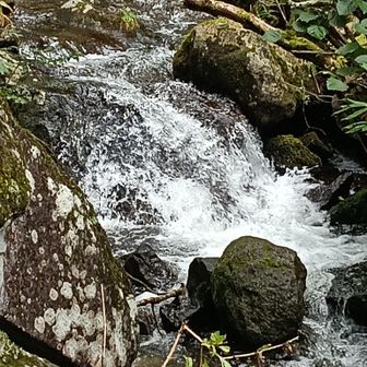沢渡の小さな滝