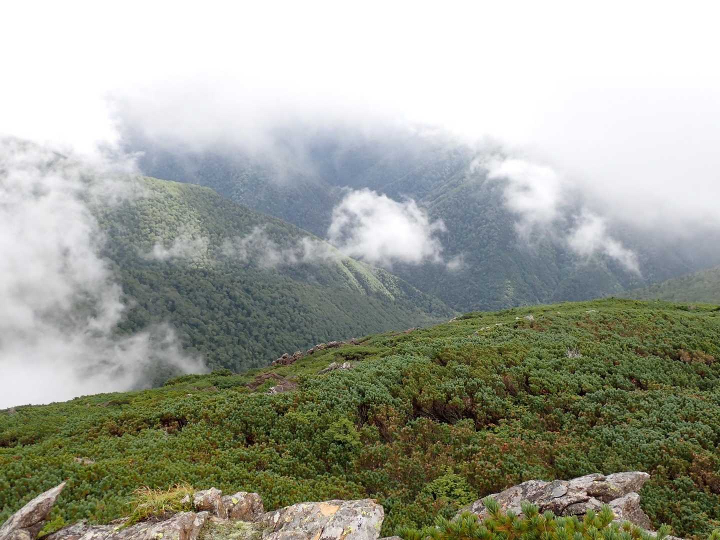 曲り沢登山口-チロロ岳 往復コースの写真