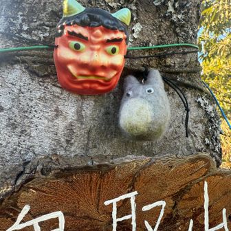 コケトトロからの