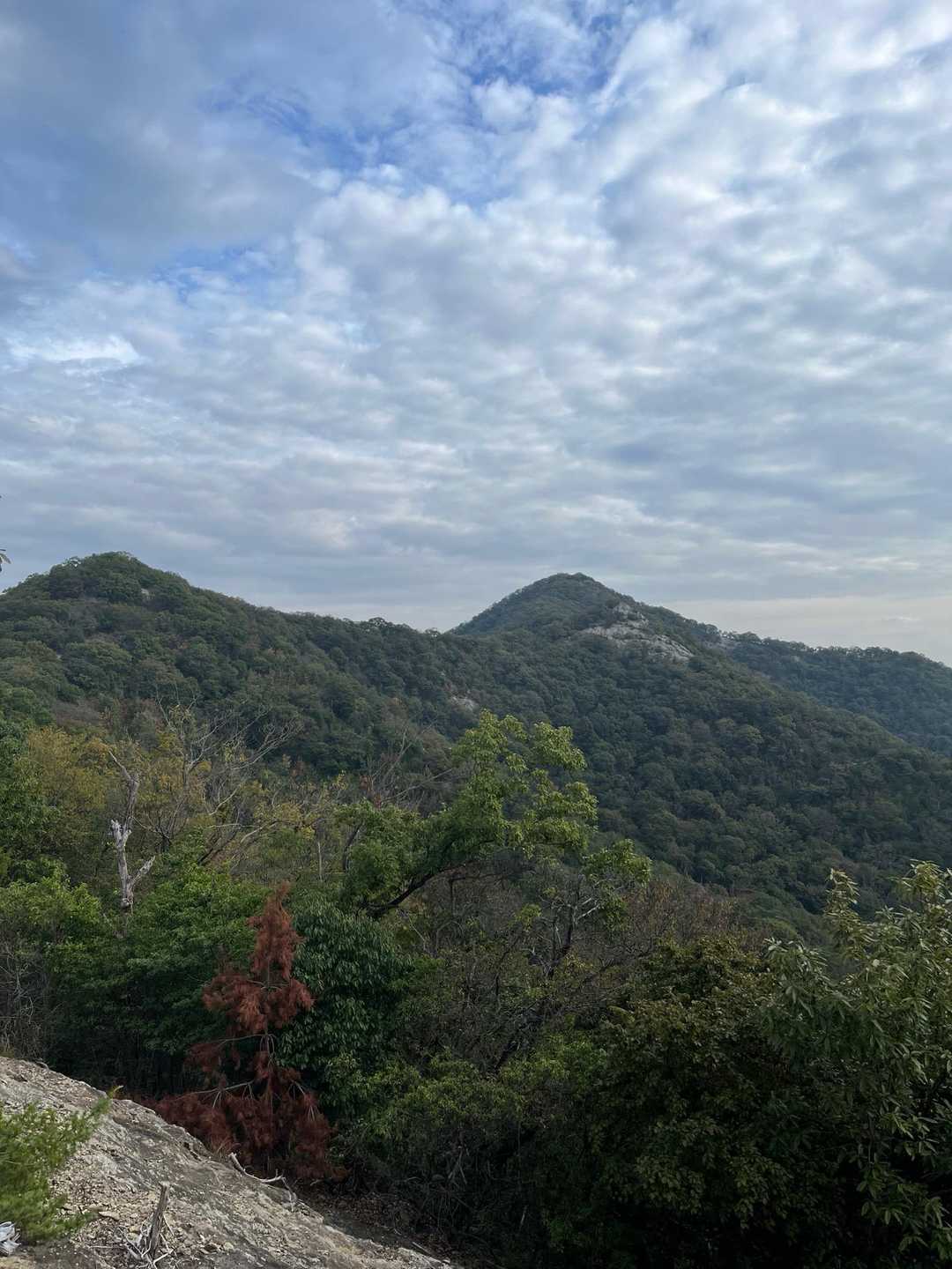 目指す鶴嘴山が見える〜