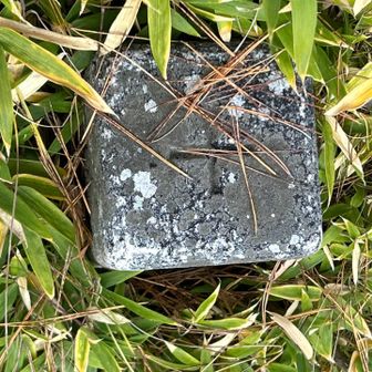 白鷺山　YAMAPピーク👇