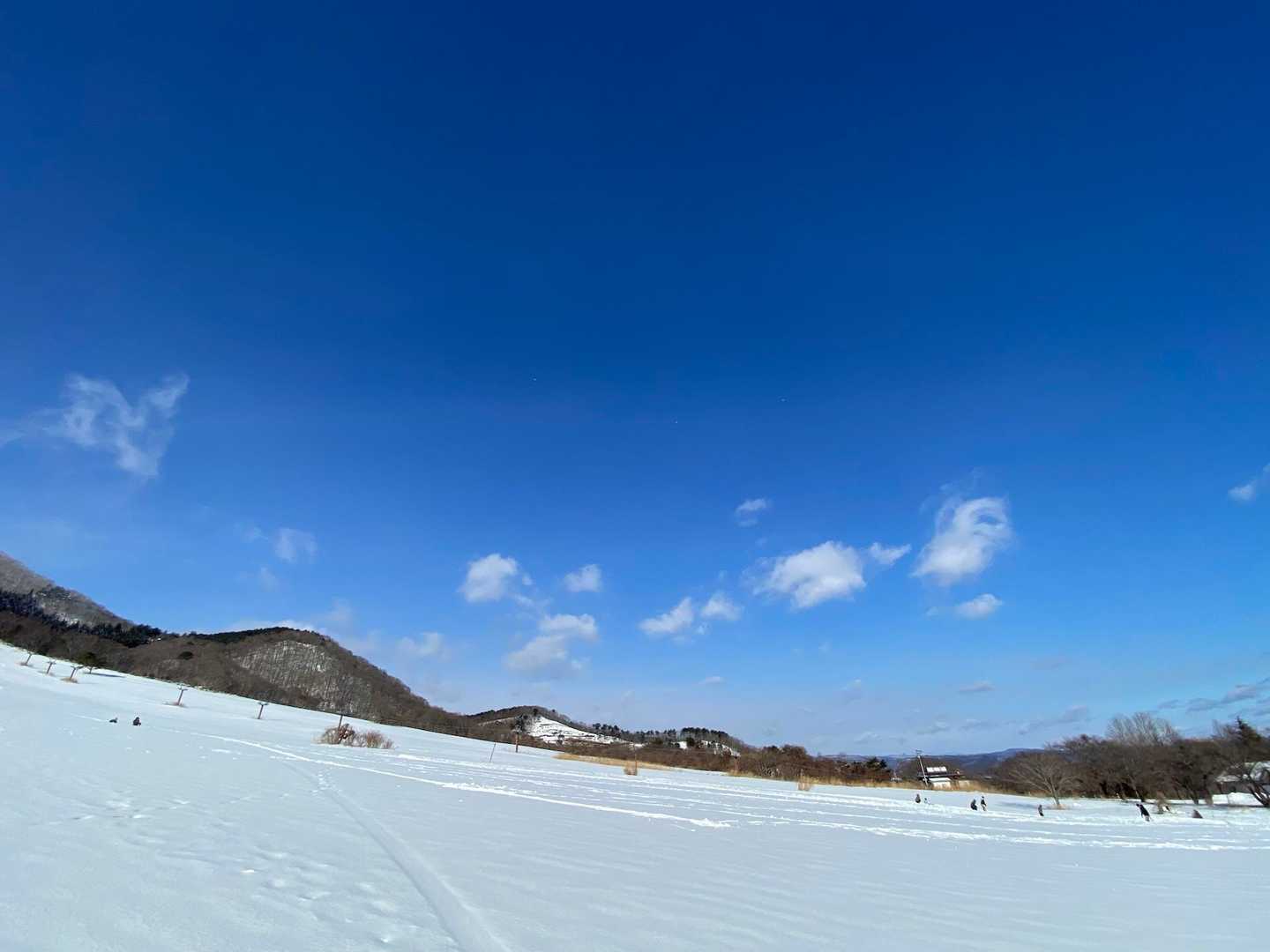 下のほうはいつもの光景でほっとする
小さい子がたくさん雪遊び