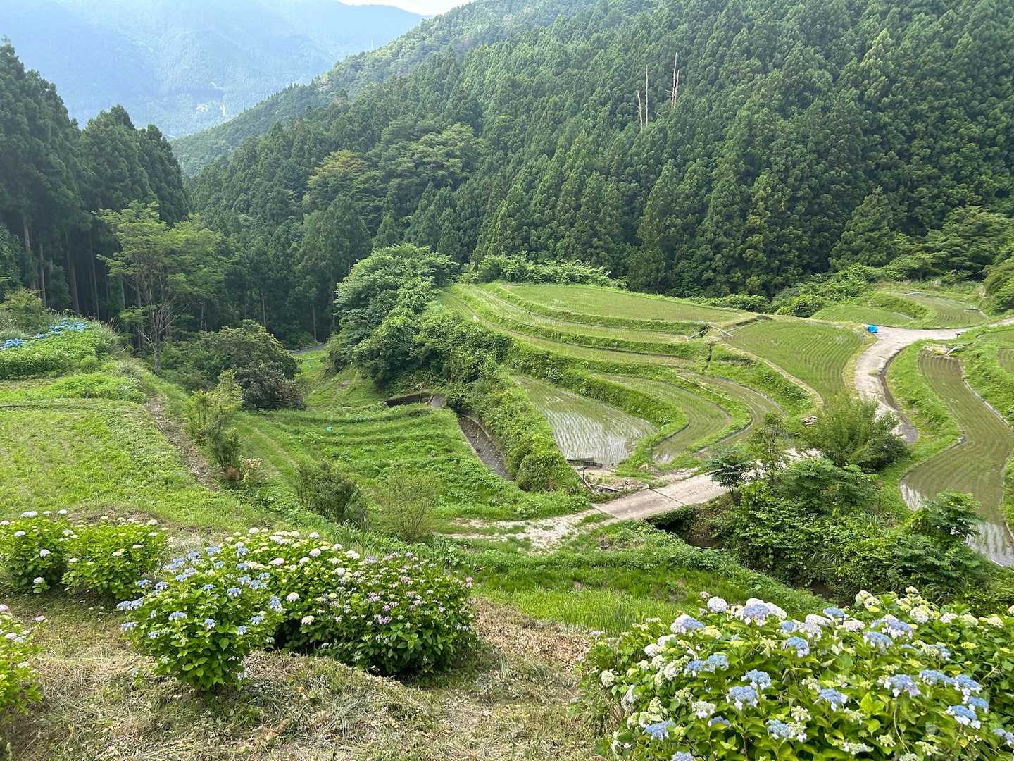山犬嶽登山口-山犬獄 往復コースの写真