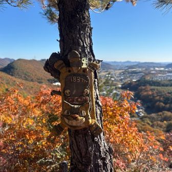 どんぐり山🥰

これレポで見たことある😳✨

こだまも仲間に入って📸