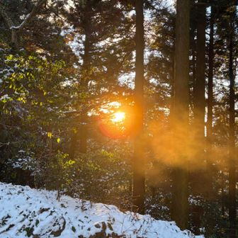 愛の吐息が太陽に照らされる。