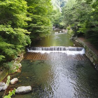 下山後は沢山の方が水遊びをされてました