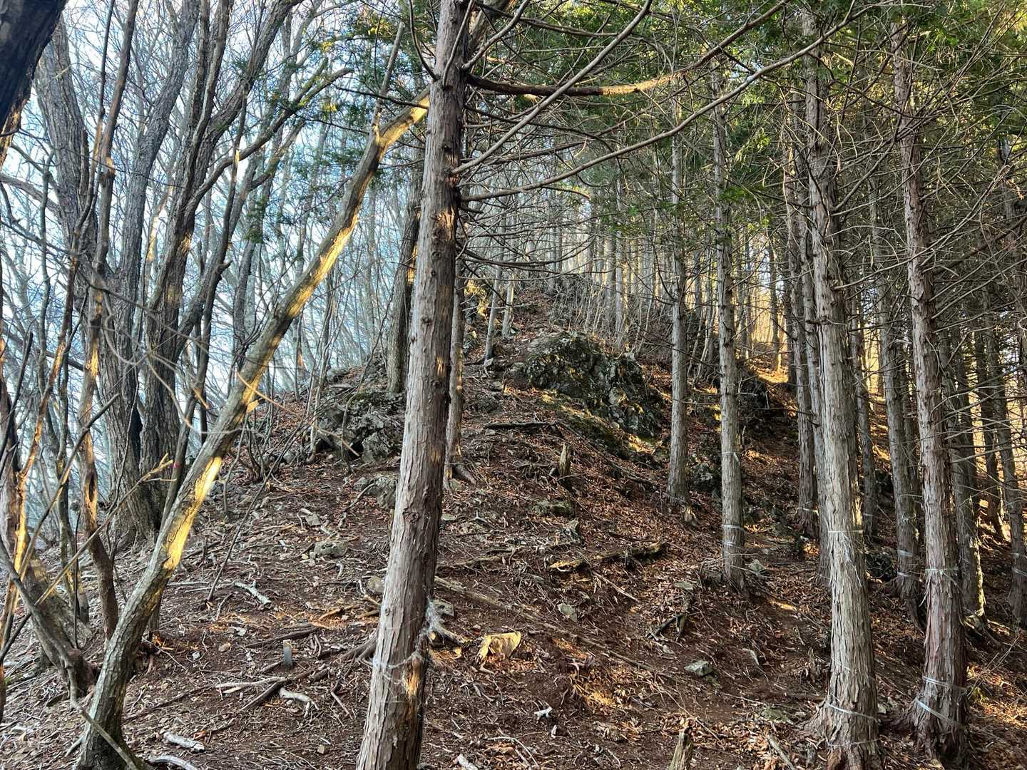 1座目の山頂はこの上