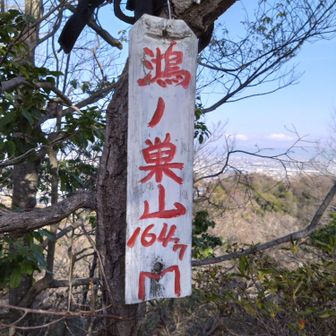 ロープなしのザレザレ急登で本日１番低い標高で１番キツかったけど眺望は綺麗✨