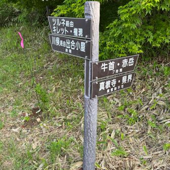 まずはコッチへ↗️
で、アッチ↖️から戻る