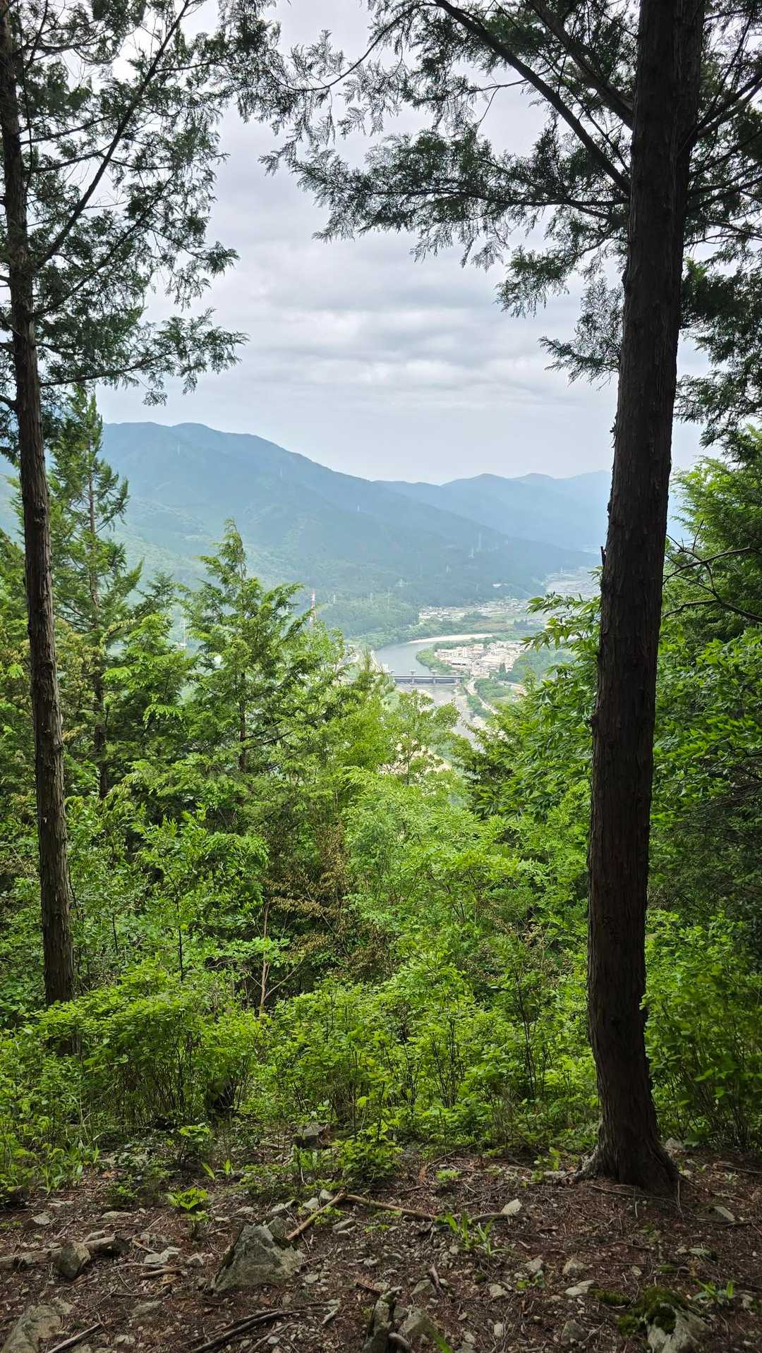 中根山 往復コースの写真