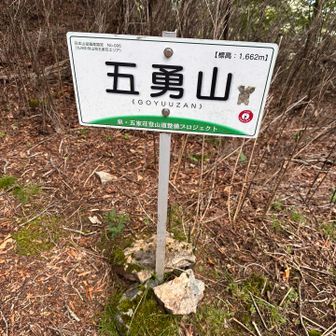ひとつ目
初ピーク