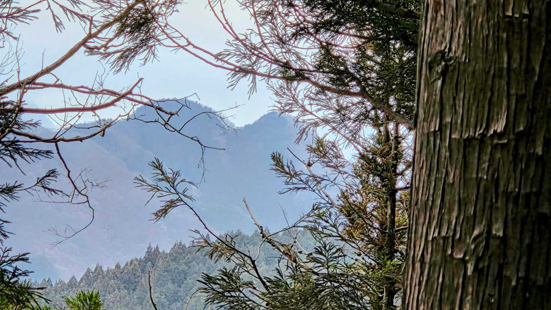 先々週登った二子山が見えた✨️