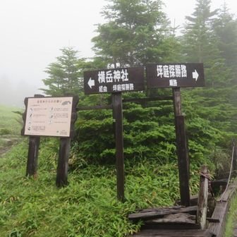 気になったので少し歩いてみる