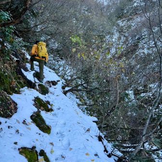 ヒヤリハットの予感がする登山道❄️
落ちたら谷へ