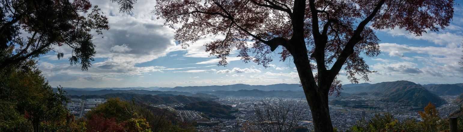 八尾山-亀ヶ岳 周回コースの写真