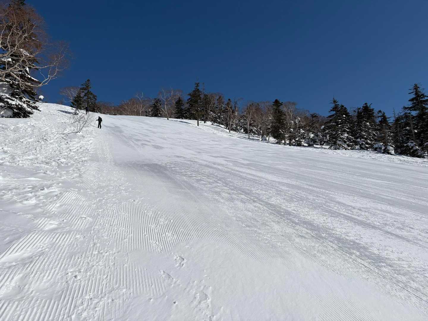 ゴンドラ下車し、スキー場のゲレンデを登ります