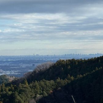 スカイツリーや