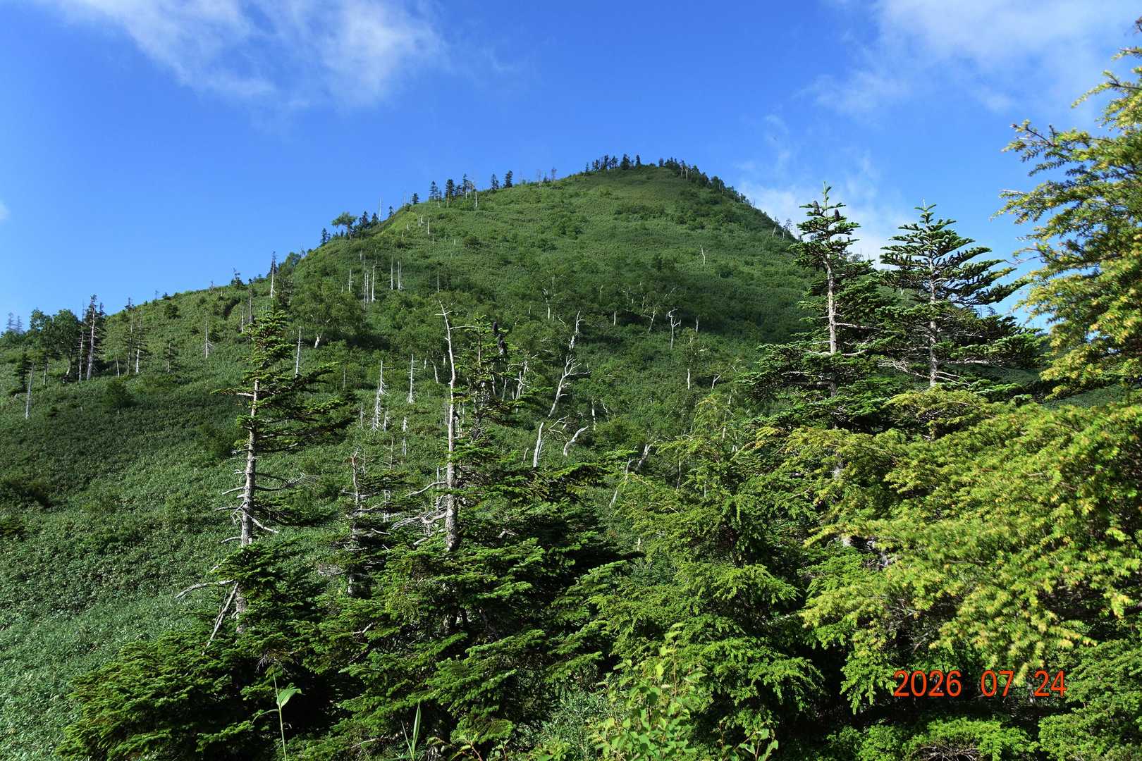 山頂尾根