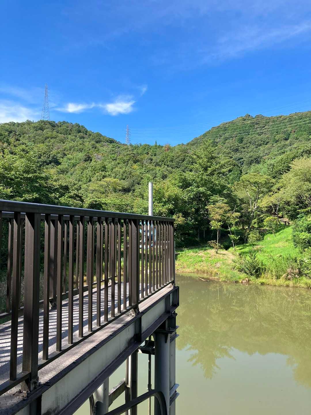 ふれあいの森入口-尾張白山 周回コースの写真