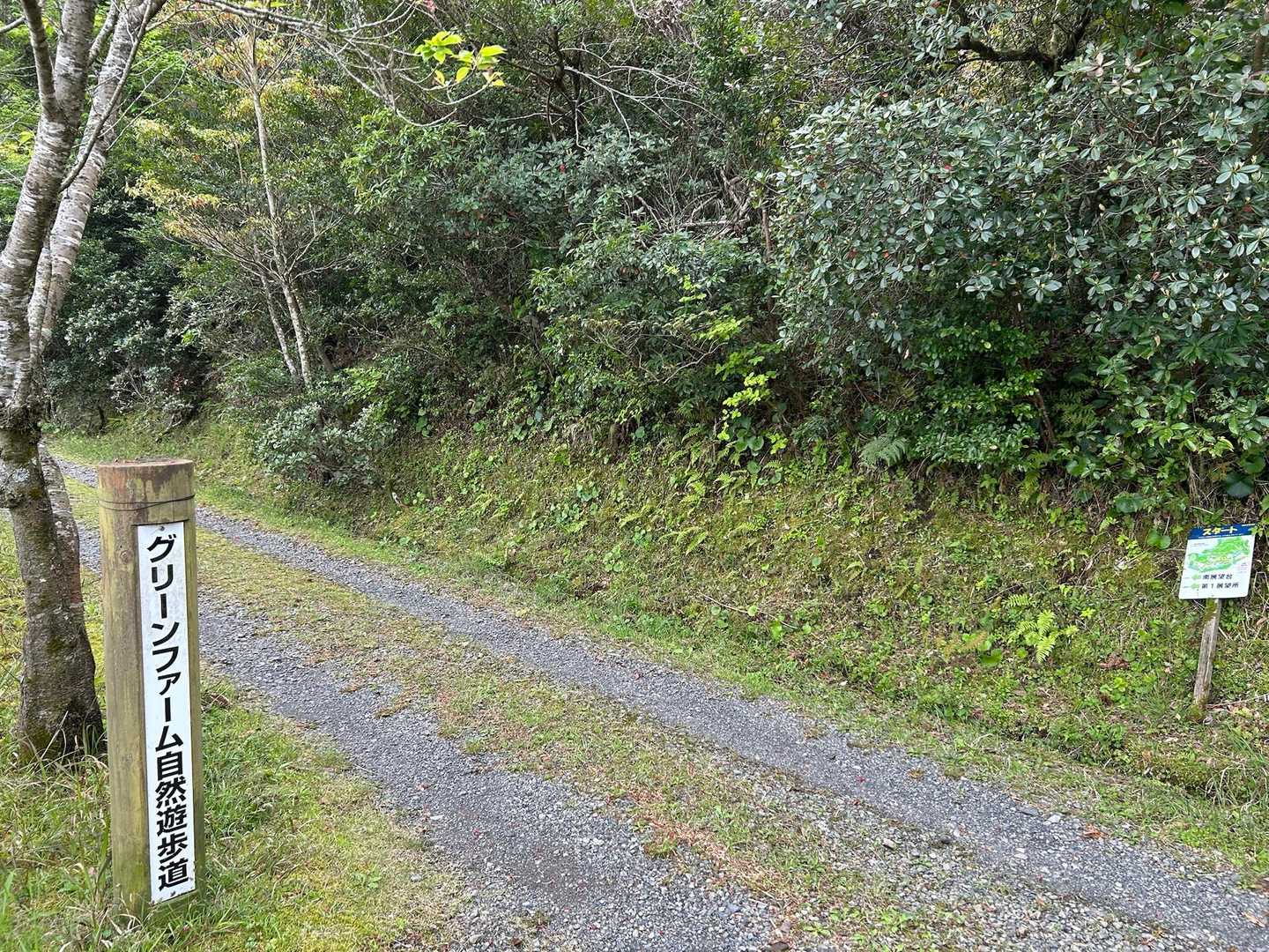 左に行きかけて…
いや、ハナイカダ鑑賞は最後にしよう
と、方向転換。反時計回りで歩くことに🚶‍♀️
