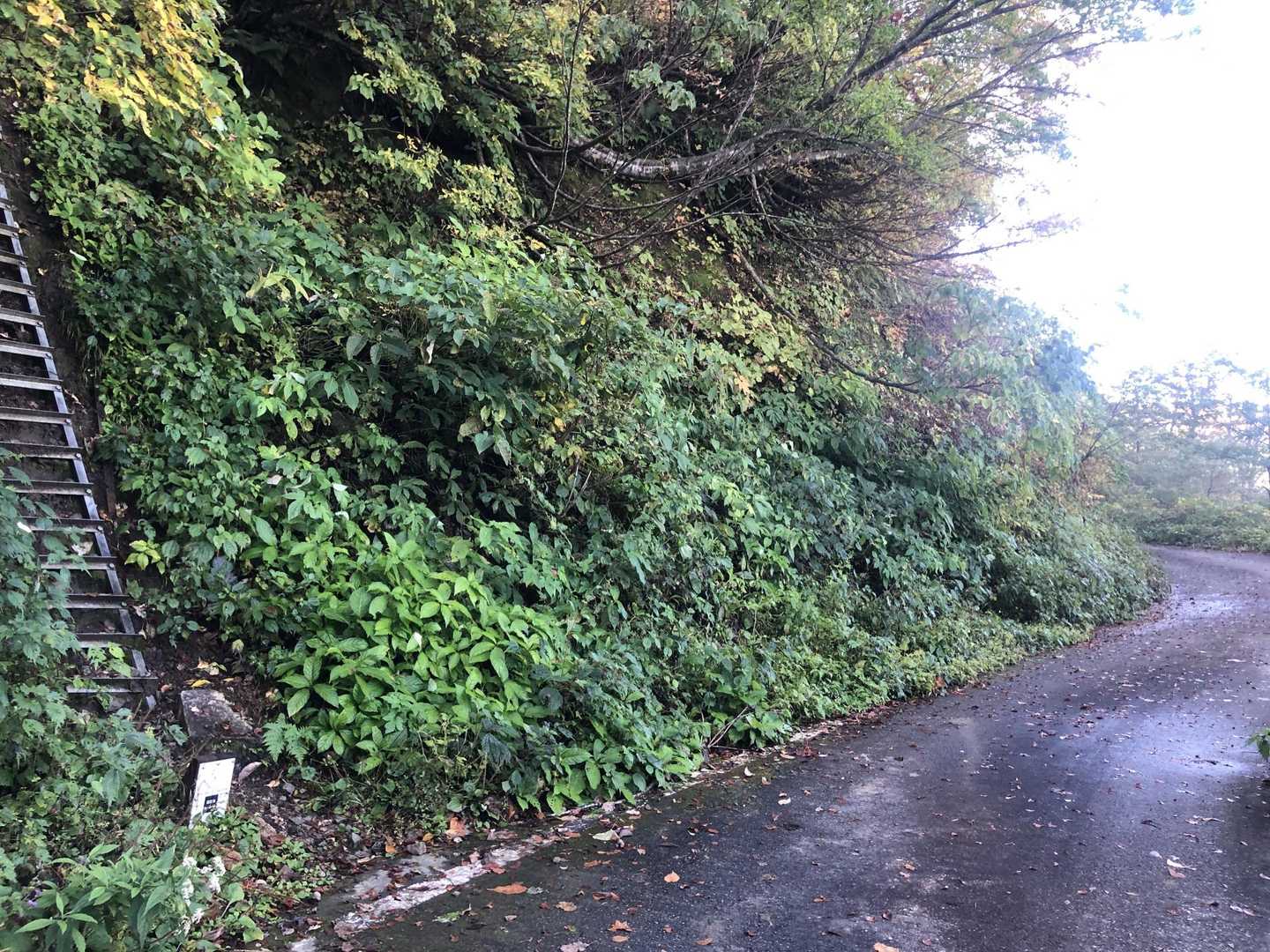 第3登山口
ここも紅葉はまだ