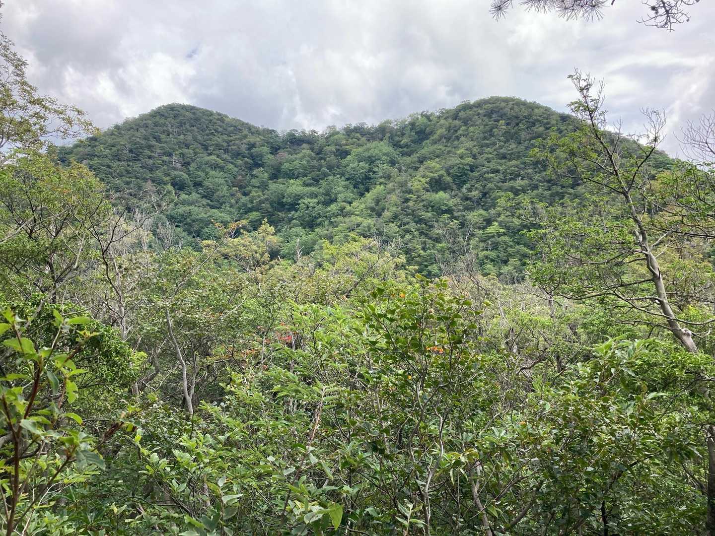 とのお新道ビューポイントより、鞍掛山⛰️⛰️