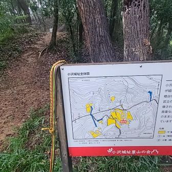 さすがにこの辺りは
立入禁止区域は無さそうね。
小沢城址は、稲城市だから
都が守ってるのかもね

(小沢城址の位置(緯度経度)は
川崎市多摩区なんだけども、
里山の会は東京都のもの。
おもしろいね☺️)