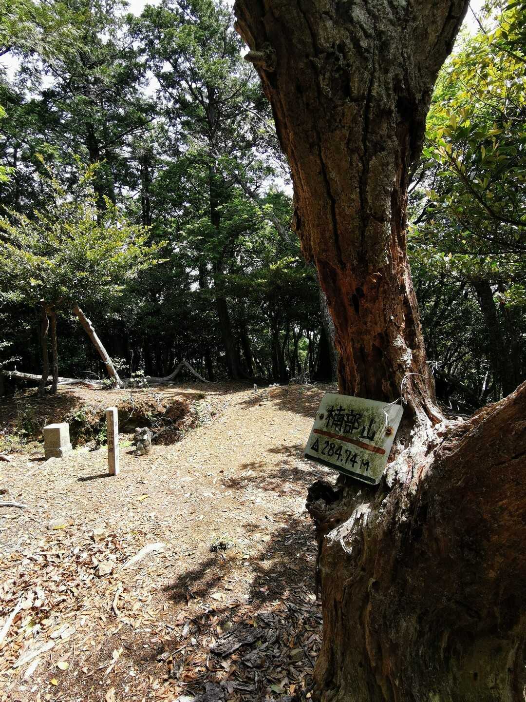 楠部山の写真