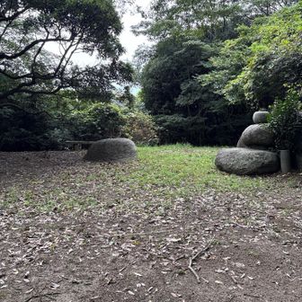 山頂らしいが、標識も三角点もない❓