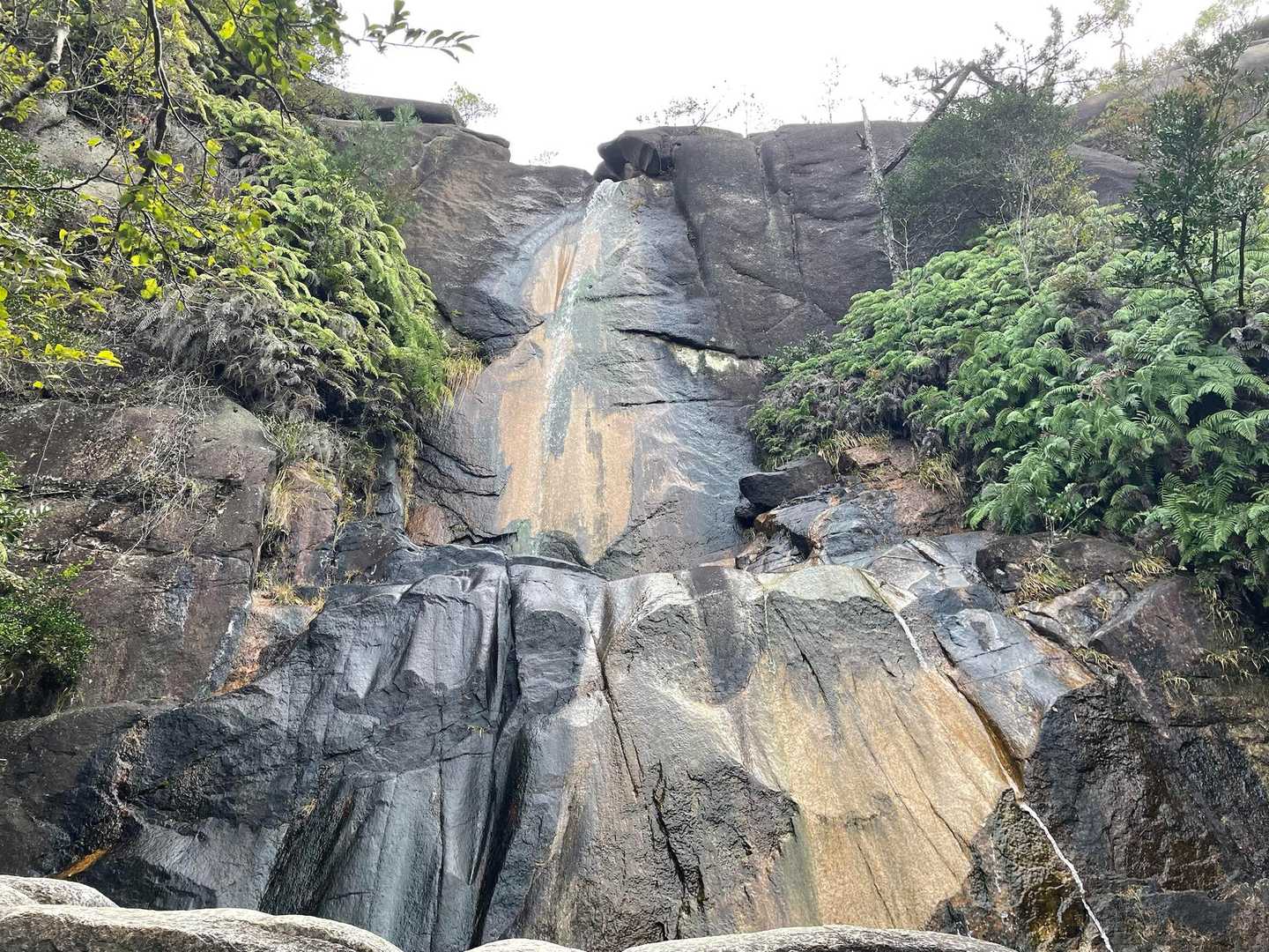 上桐生登山口-天狗岩 周回コースの写真