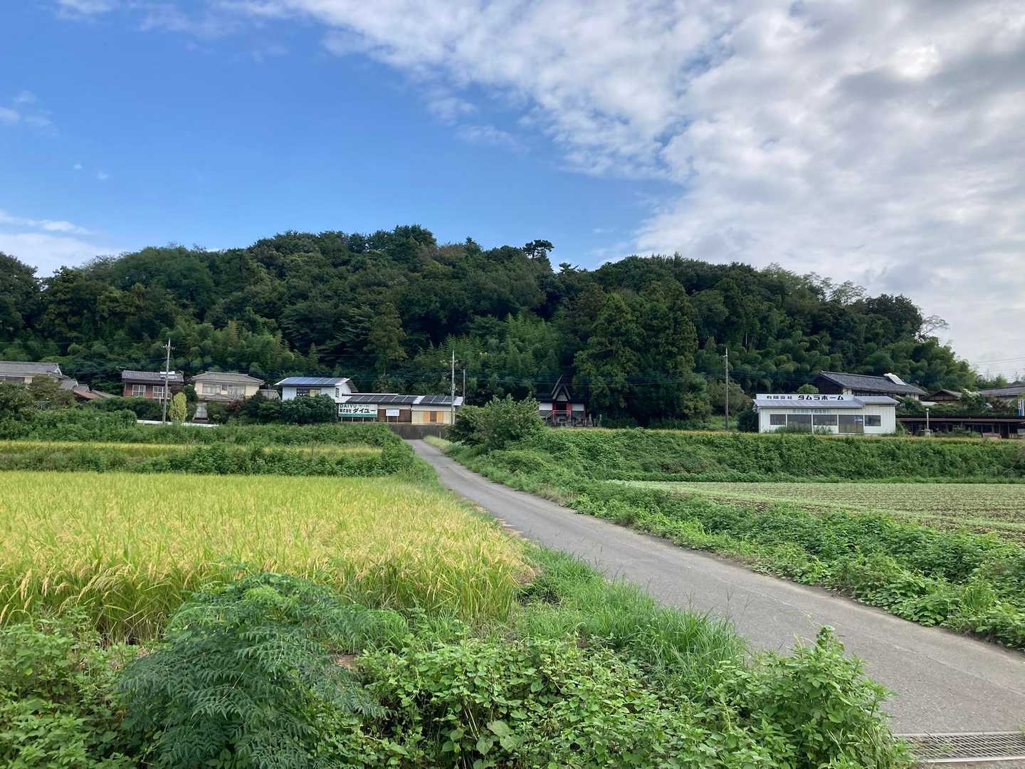 十二山-十二山登山口 往復コースの写真