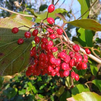 さあ出発します