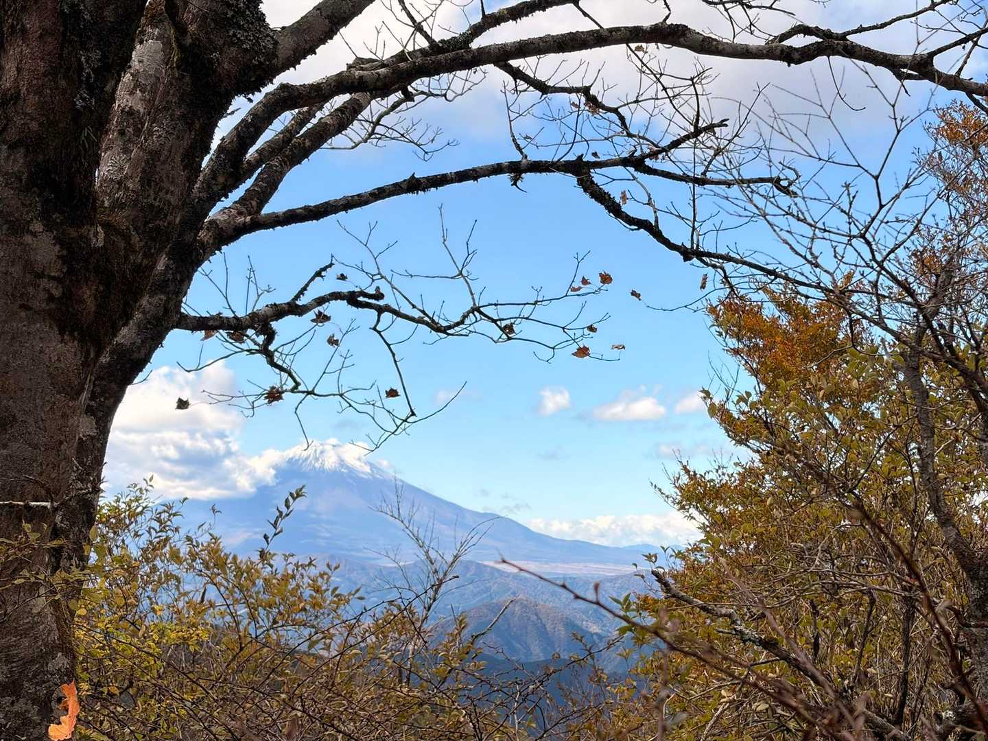 途中で。。。久しぶりの富士山！

何週間も週末はどんよりした天気だったので、すごく嬉しい☺️