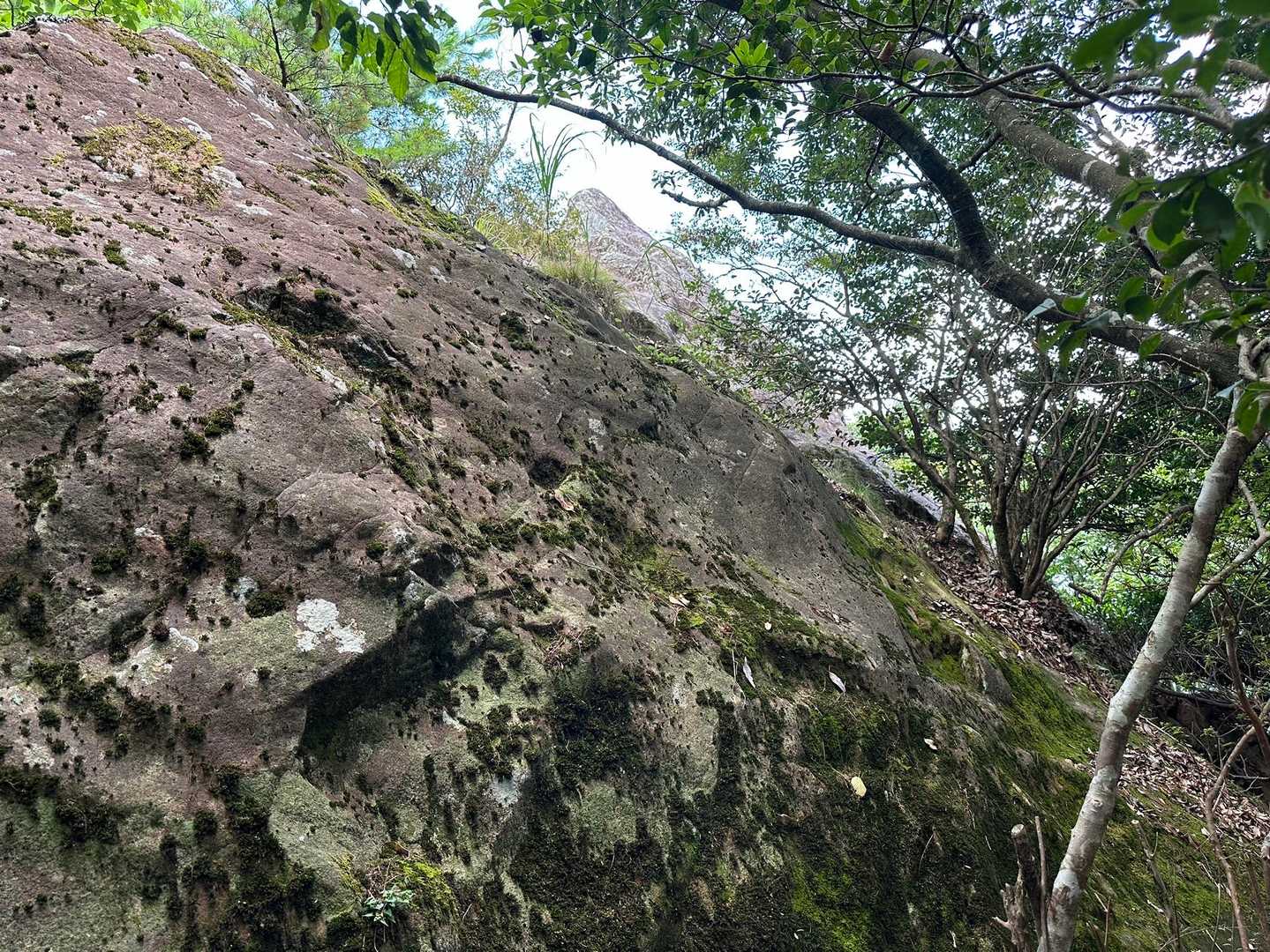 雄岩。ここから登りましたが、いったん奥へ行ってから登ったほうが安全でした。