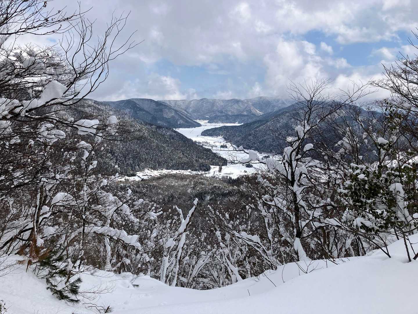 武奈の木平-粟柄越-赤坂山-赤坂山登山口 縦走コースの写真