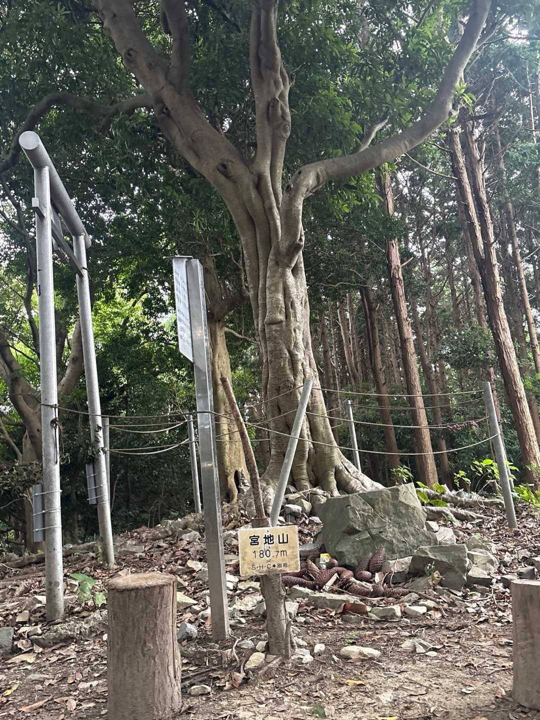 宮地山山頂到着( *´﹀`* )