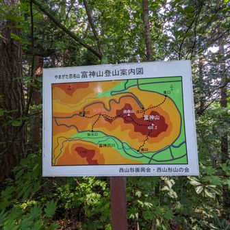 坂元口に降ります
