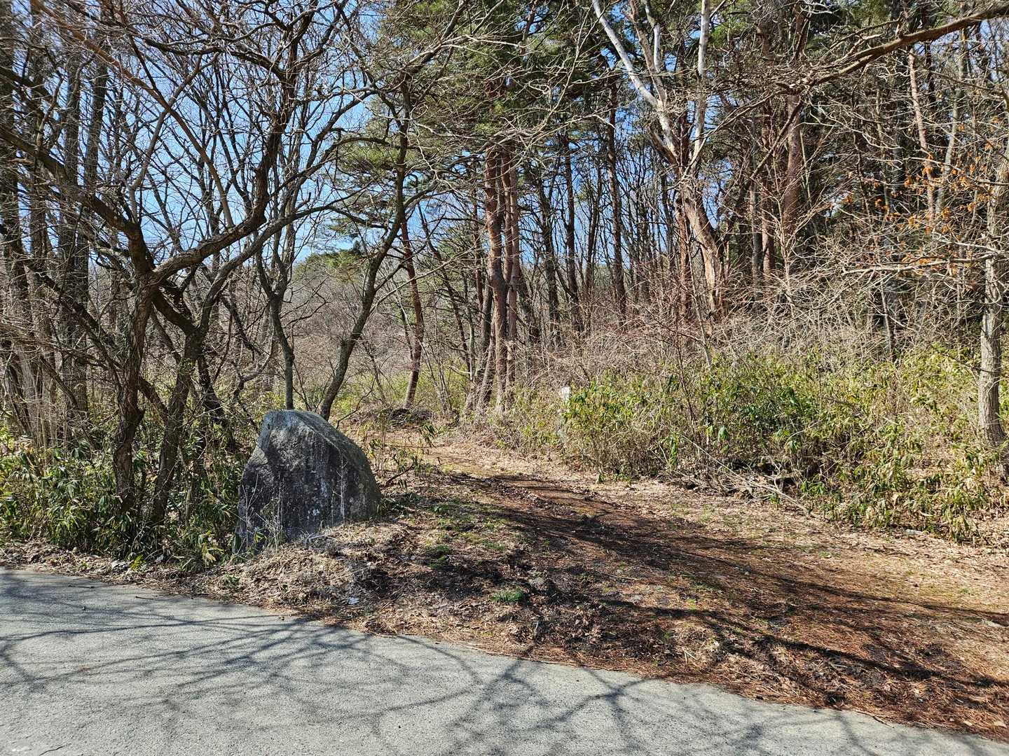 登山口