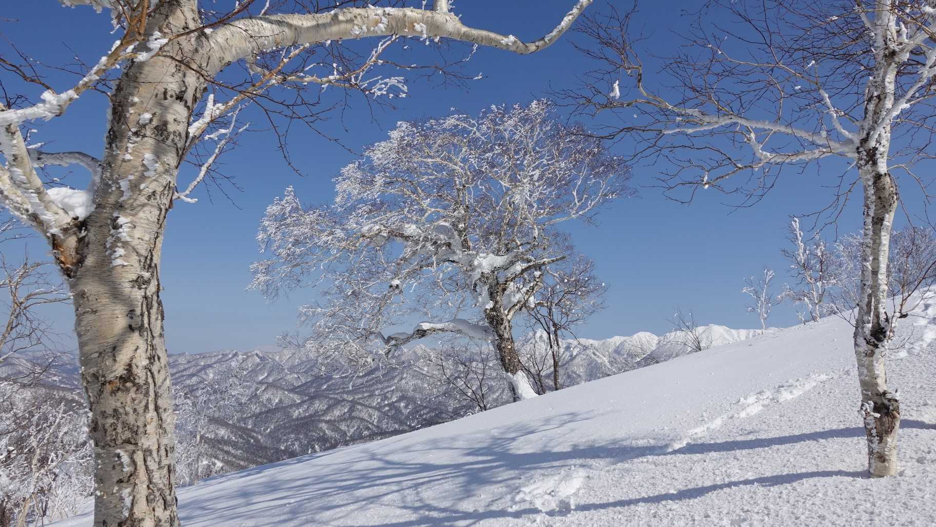 北峰に山頂標識があると勘違いして無駄に探してしまった笑